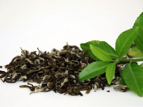 fatti di perdita di grasso del tè verde